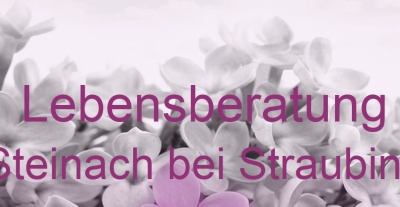 Lebensberatung Steinach bei Straubing | Top-Experten für Kartenlegen, Wahrsagen, Hellsehen, Zukunftsdeutung. Lebensberatung Steinach bei Straubing | Top-Experten für Kartenlegen, Wahrsagen, Hellsehen, Zukunftsdeutung.